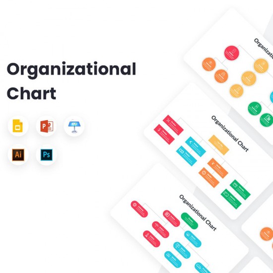 Organizational Chart Infographics