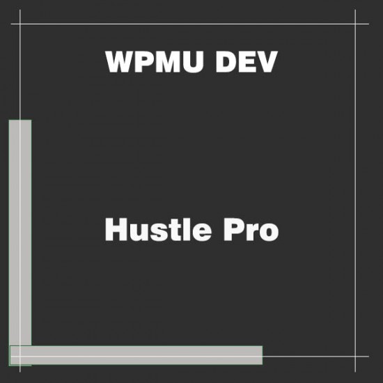 WPMU DEV Hustle Pro