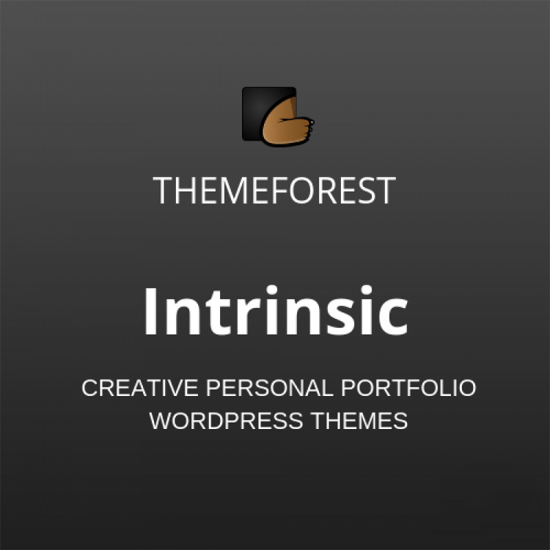 Intrinsic Creative Personal Portfolio WordPress Themes