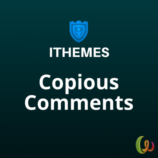 iThemes DisplayBuddy Copious Comments