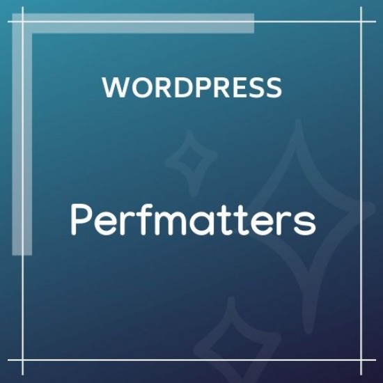Perfmatters Lightweight WordPress Performance Plugin
